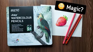 Trying New Brustro watercolor pencils 😍  tutorial [upl. by Lirbij797]