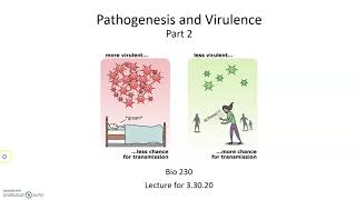 Pathogenesis and Virulence Virulence Factors [upl. by Powell]