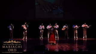 Mariachis en playa del carmen  No valió la pena José José  Karla cruz [upl. by Jaymee134]