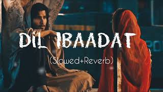 Dil Ibaadat Kar Raha Hai  New lofi song  sad hindi slowedreverb lofi slowedandreverb [upl. by Nivrehs]