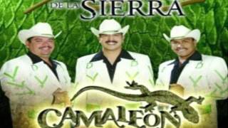 Corrido De Ramon Vega  Los Diferentes De La Sierra [upl. by Neb]