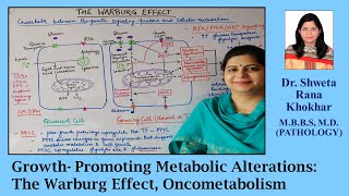 Growth Promoting Metabolic Alterations The Warburg Effect  Oncometabolism  Autophagy [upl. by Sorac538]