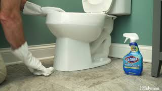 How to Clean a Toilet In 5 Steps [upl. by Narik]