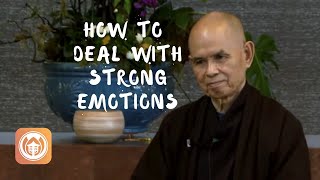 Tools for Dealing with Anger  Thich Nhat Hanh short teaching video [upl. by Ailedo]