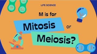 Mitosis Vs MeosisMitosis amp Meosis DifferencesCell cycleScience GkBiology LecturesCell Division [upl. by Nitsej]