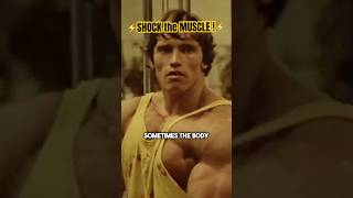 Arnold Schwarzenegger Reveals the Secret of How to Shock the Muscle shorts [upl. by Kienan]