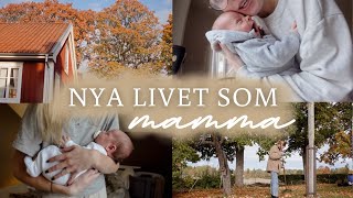 LIVET SOM NY MAMMA👶🏼🍼  uppfostran höstens trädgård amp trötta men glada🧡🍂 [upl. by Zap]