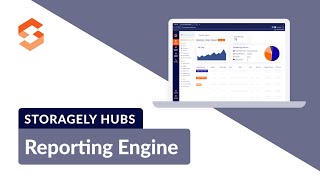 Overview  The Storagely Reporting Engine Hub [upl. by Oirad]