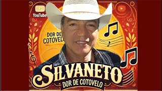 🤠 ETA DOR DE COTOVELO DANADA 😎 FORROZÃO RETADO DO SILVANETO PRA DANÇAR ATÉ MANDÁ PARÁ 😀 [upl. by Keil]