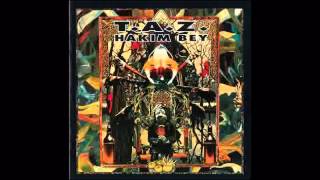 Full Album Hakim Bey  TAZ [upl. by Jecoa554]