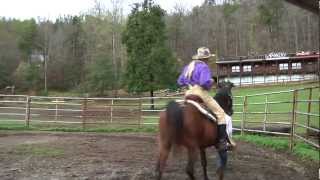 How to Properly Regain Control of a Spooked Horse [upl. by Karissa]