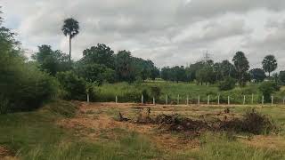 Vijayawada Highway chityala 1 acor land sale 9490315226 [upl. by Nonnarb675]