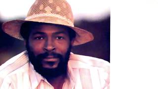 Marvin Gaye  Sanctified Lady [upl. by Haidabej]