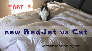 BedJet in Action vs Cat  Part 1 [upl. by Smallman]