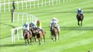 Punchestown Festival Highlights  DAY 1 [upl. by Einafets]