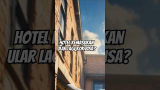 ular piton keluar hotel2shorts short [upl. by Delano424]