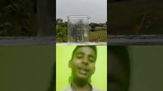 petrol ko gas lighter se jalayenge toreactionshort🤔🤔video [upl. by Ihcehcu]