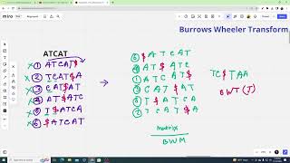 Burrows Wheeler Transform  LF Mapping  BWM BWMT BWT T SAT LFM  Bioinformatics [upl. by Lenni]