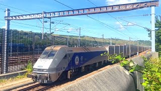 Channel Tunnel Le Shuttle Trains at Folkestone Terminal Kent [upl. by Jackelyn]