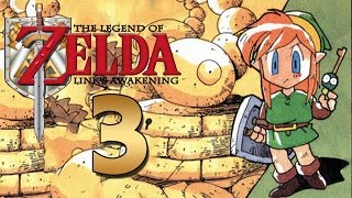 THE LEGEND OF ZELDA LINKS AWAKENING DX 🗡️ 3 Der Wurmpalast [upl. by Neeven]