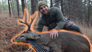 My BEST Washington WHITETAIL  Archery Hunt [upl. by Liman807]