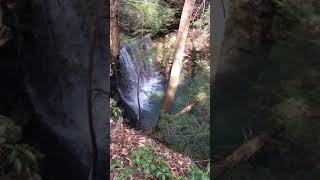 Hidden Waterfall Fentress Co Tennessee [upl. by Swerdna]