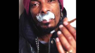 Snoop Dogg  Boss Life Instrumental [upl. by Frye]