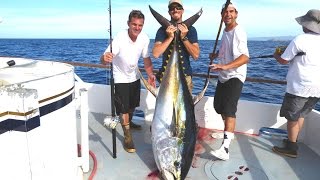 Apollo Sportfishing 2K  April 1216 2016  Cow Hunting  Nuevo Vallarta  FULL VIDEO [upl. by Isidora]