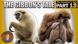 The Gibbons Tale [upl. by Bocock]