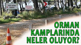 ORMAN KAMPLARINDA NELER OLUYOR [upl. by Quillon]