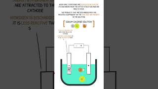 GCSE Chemistry Revision  Electrolysis of Aqueous Solutions [upl. by Idnarb]