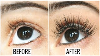 How to Grow Long Thick Strong Eyelashes amp Eyebrows  Anaysa [upl. by Yrellih535]