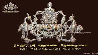 Nallur Sri Kandaswamy Devasthanam 11th Day Morning Festival 2024 Free Live Broadcast [upl. by Nrevel]