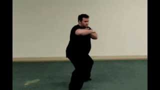 Tracy kenpo Jared Bryan Yellow Belt Test [upl. by Suollecram643]