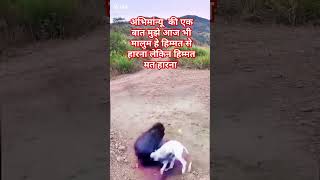 अभिमान्यू की एक बातanimal motivation sorts [upl. by Nosnehpets672]