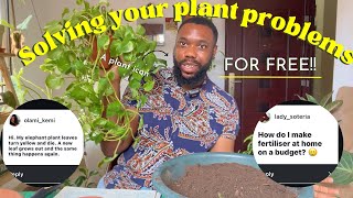 Solving your plant problems for free  A chatty QampA about your plants  🪴 [upl. by Relyc886]