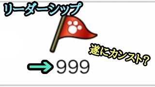 【にゃんこ大戦争】リーダーシップがカンスト！？999個がカンストか検証！ [upl. by Burnett]