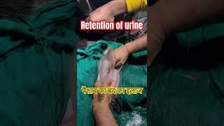 Retention of urinary bladder l dr Umar khan [upl. by Sileas]