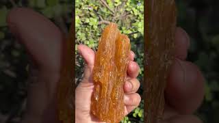 The Allegiance  Raw Amber amberstone amber naturalbeauty crystal crystaljewelry natural [upl. by Alahcim]