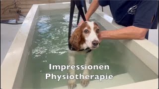 Impressionen Physiotherapie für Hunde Kynofit [upl. by Ailla]