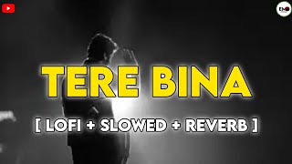 TERE BINA  lofi slowed reverb   new hindi song  arjit Singh  entertainment Music official [upl. by Llenrod39]