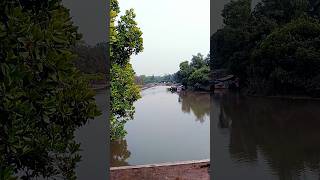 mangroves honnavara boatrides travel travelvlog traveling reels bangaloredairies shorts [upl. by Jenda418]