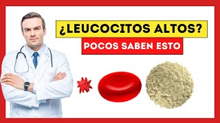 Tienes los Glóbulos Blancos Leucocitos Altos  Descubre la Bomba de Tiempo en tu Sangre [upl. by Burnard]