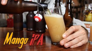 Idiots Guide to Making Incredible Beer at Home [upl. by Collier561]