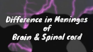 Quick 3 min comparison  Meninges of Brain  vs Meninges of Spinal cord [upl. by Aziar543]