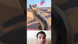 Allah Hu Akbar😭🙏shorts fake animals youtubeshorts ytshorts [upl. by Kurtzig64]