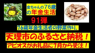 年金生活ショート91弾 76歳の野菜作り、今年はアピオスえおふるさと納税のお礼品として販売！ [upl. by Suki768]