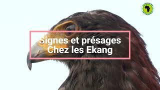 SPIRITUALITÉ I Les signes et présages chez les Ekang [upl. by Enytsirk]