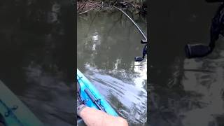 THAT BEND 😱 bassfishing bfs kayakfishing [upl. by Attenahs]