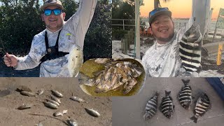 Sheepshead Catch amp Cook Nonstop Action [upl. by Delastre]